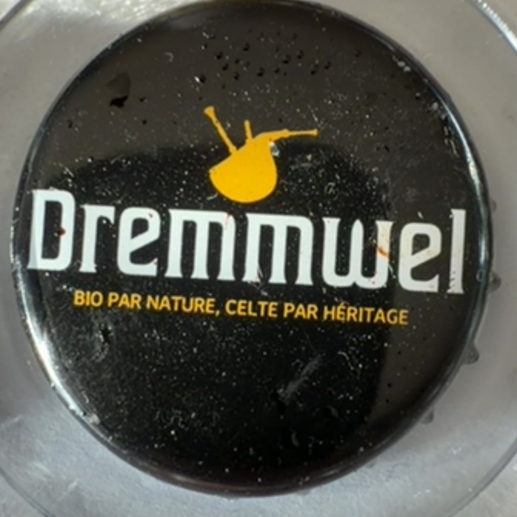 Brasserie De Bretagne Dremmwel