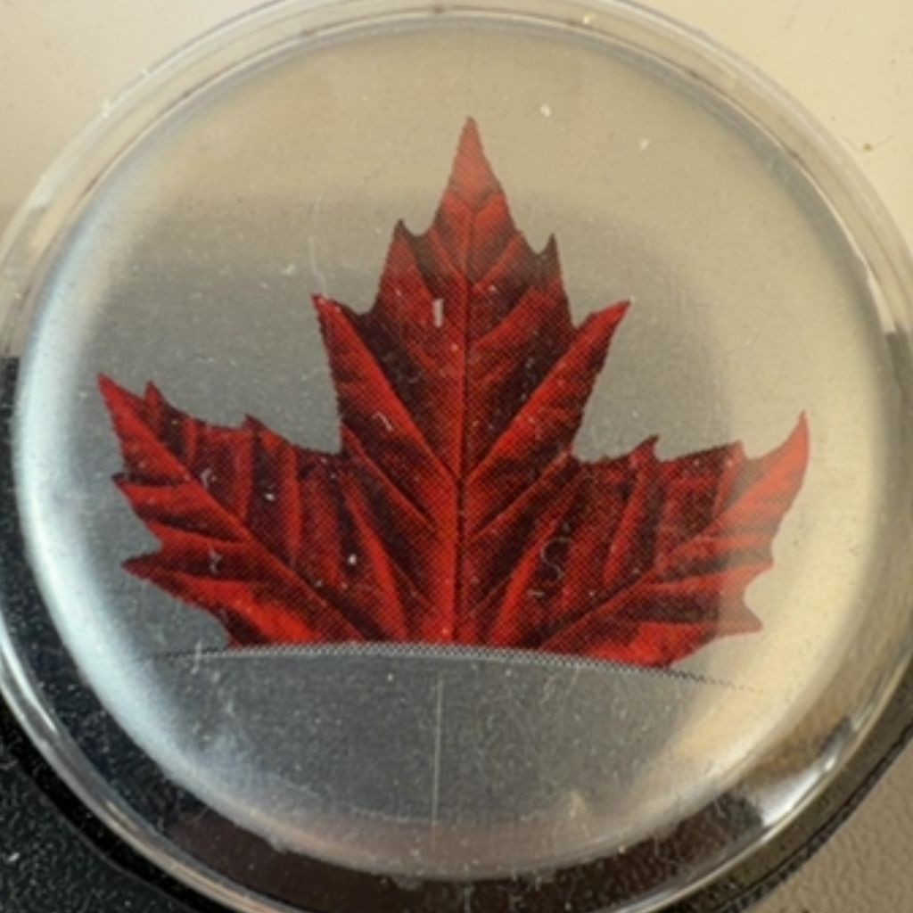 Molson Breweries Of Canada Canadian