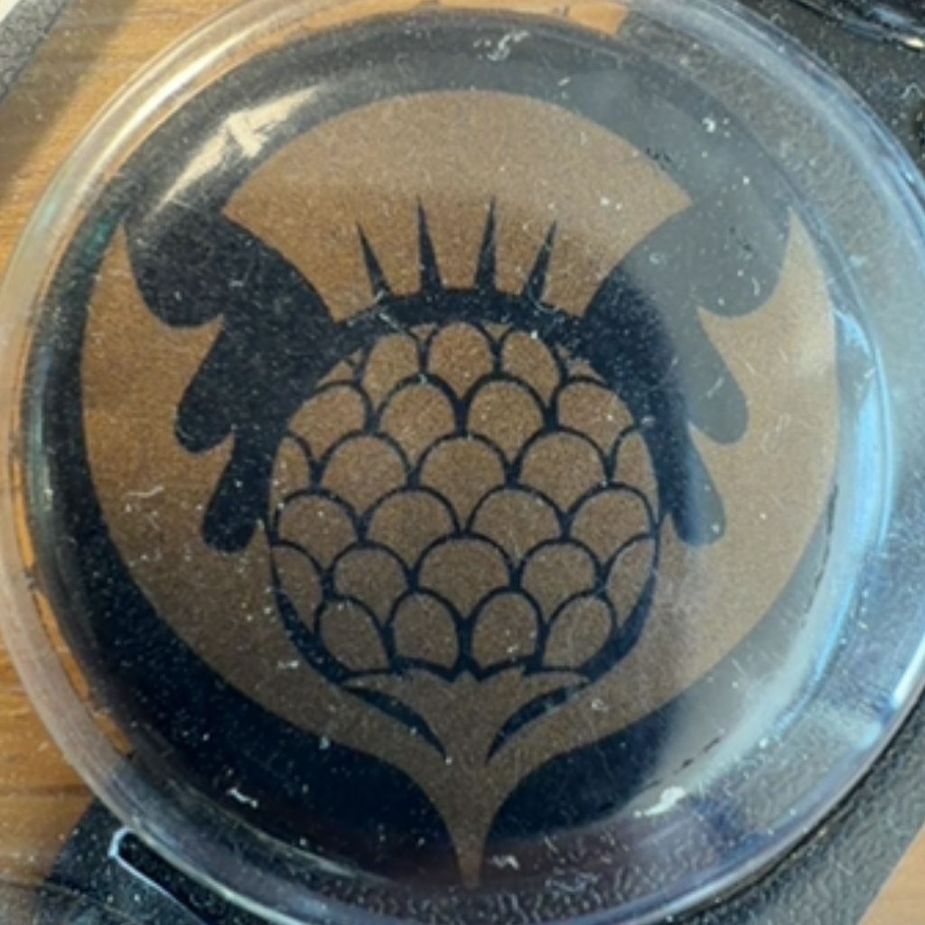 The Belhaven Group Belhaven Twisted Thistle